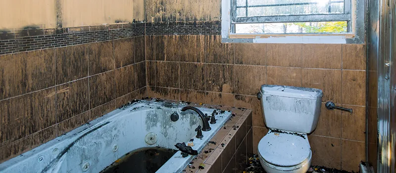 Residential Water Damage Restoration in McLaughlin, Oshawa