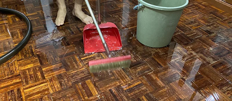 Water Removal And Restoration Services in McLaughlin, Oshawa