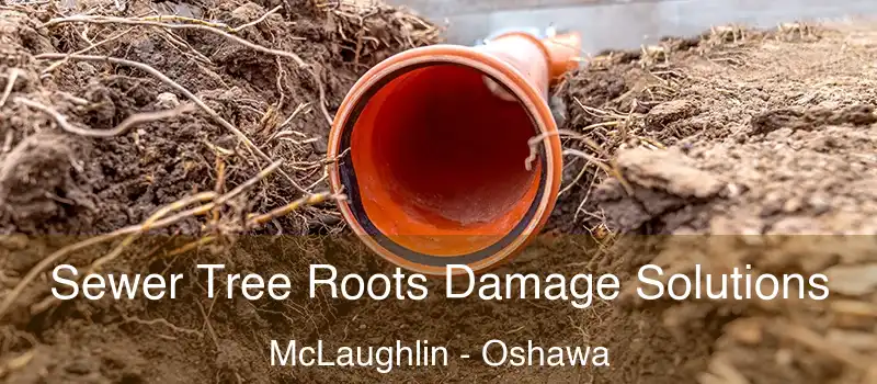  Sewer Tree Roots Damage Solutions McLaughlin - Oshawa